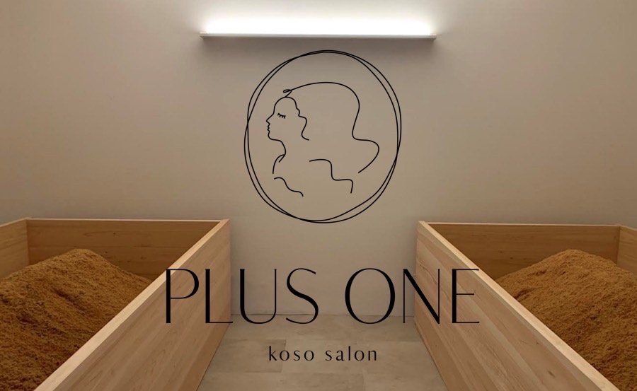 PLUS ONE -koso salon-【高知県高知市の酵素風呂・酵素浴】ロゴ